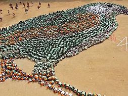 Fundraising to provide feeders and houses for sparrows in parks of Chennai. Join the project!