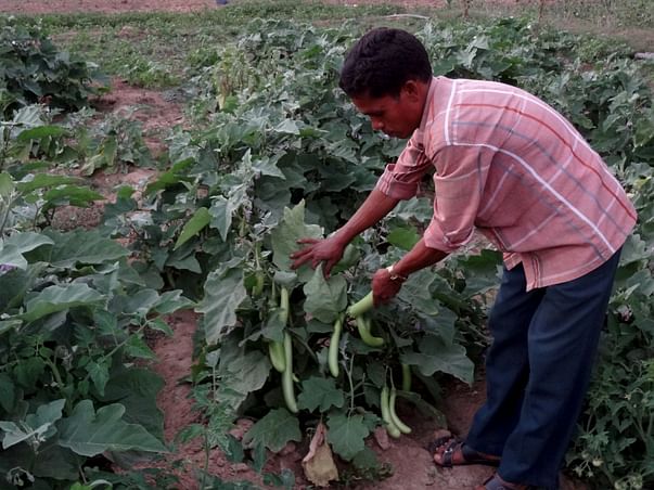 I am fundraising to help Rami Setty, a tribal organic farmer in his effort to end malnutrition in Bhadrachalam tribal area
