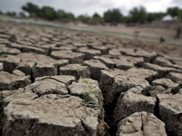 I am fundraising to help Drought affected farmers from Marathwada