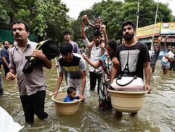 Help the stranded pets to find food and shelter during this tamilnadu flood
