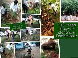 Join me in planting 15,000 trees across Bangalore