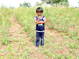 Help Sidamma undergo Bone Marrow Transplant