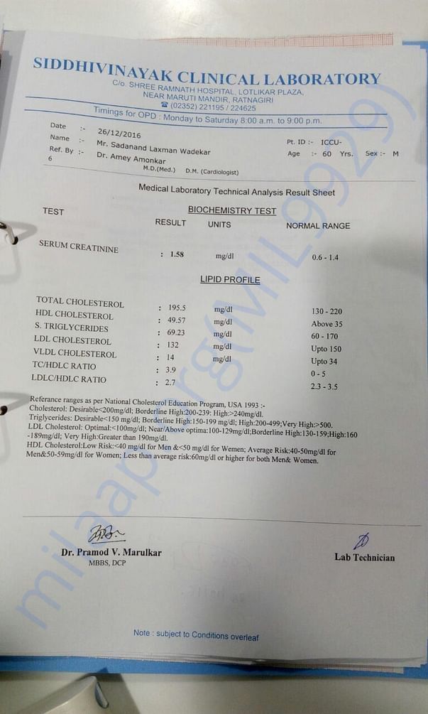 Test Reports