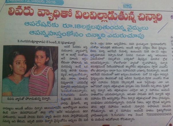 Article in the Newspapers