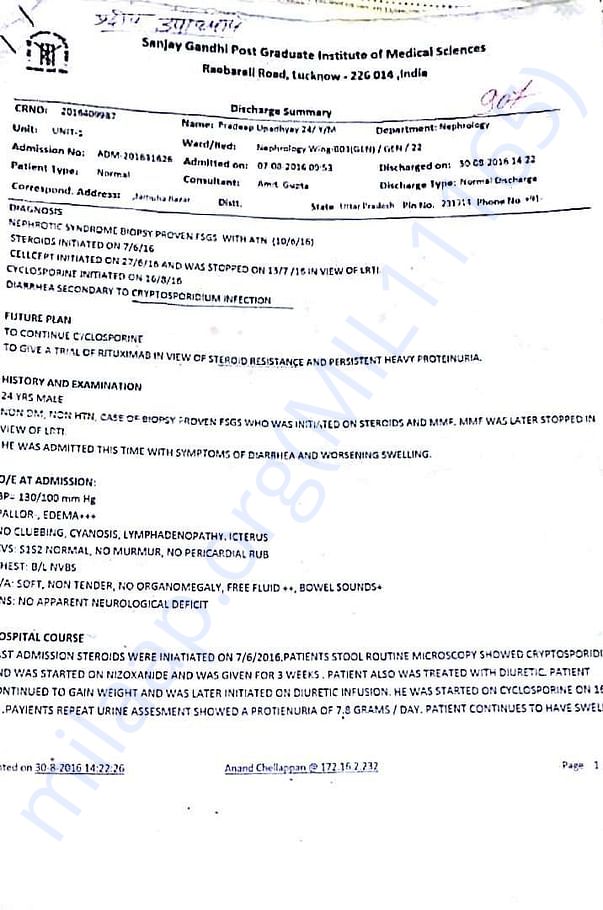 Report Summary