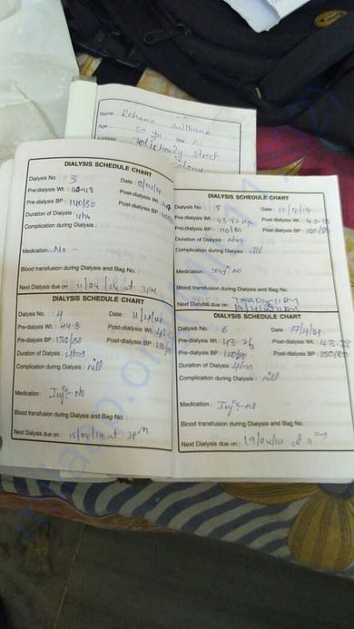 dailysis book