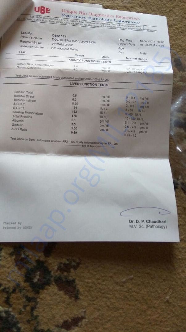 Blood test 2nd page