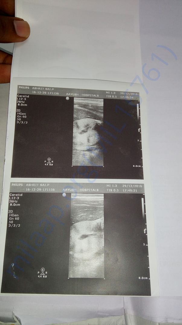 Scan reports-2