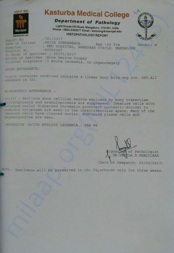 Pathology report from KMC Mangalore