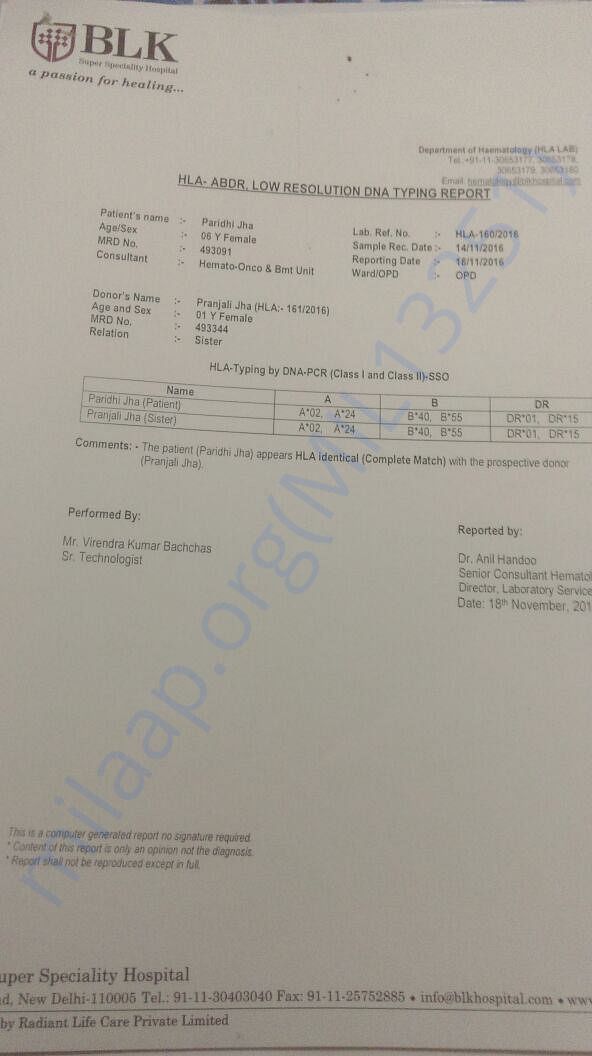 HLA report where one can see her hla is matched with her sibling