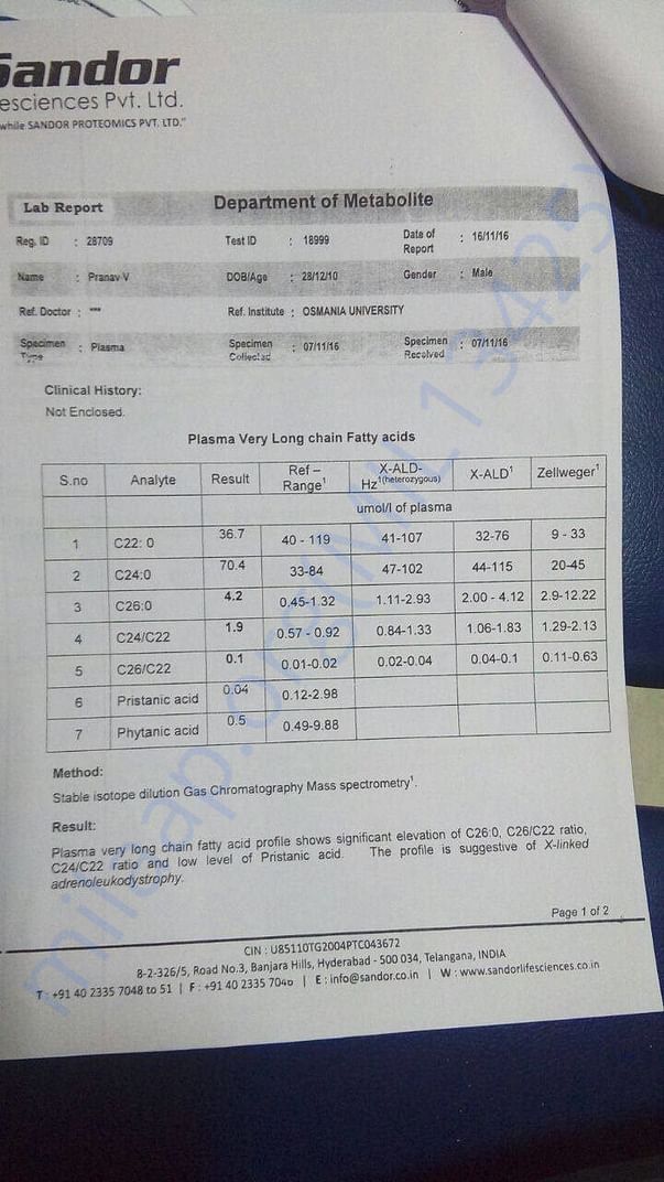 Gas Chromatography Report