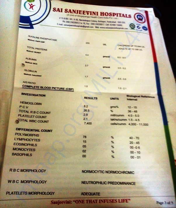 Latest Report 5 of 5