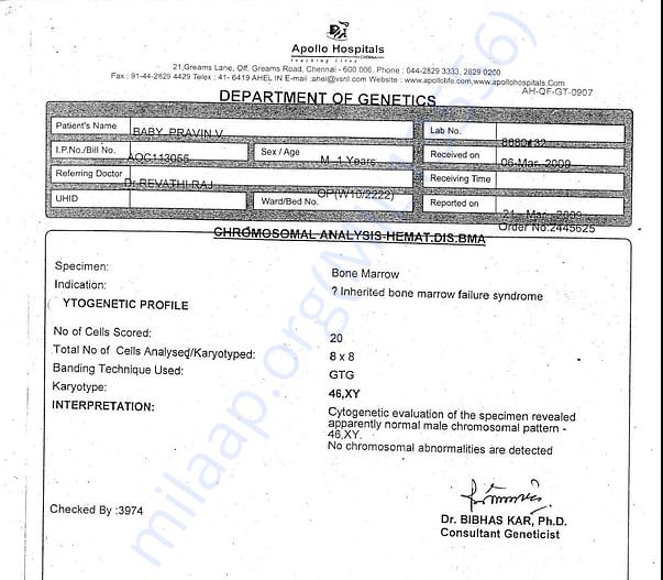Test report