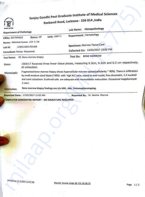 Bone Marrow Test