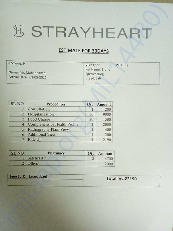 Hospital's estimated invoice for Bruno