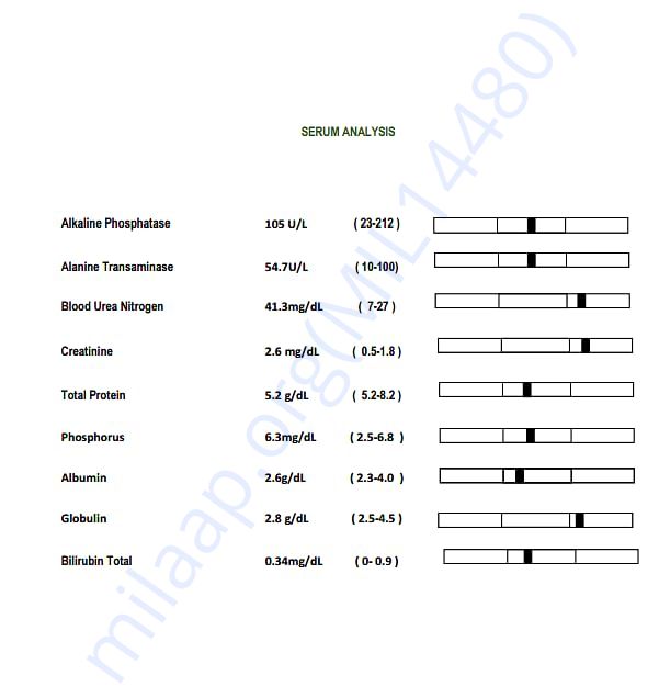 Bruno Report 2nd page