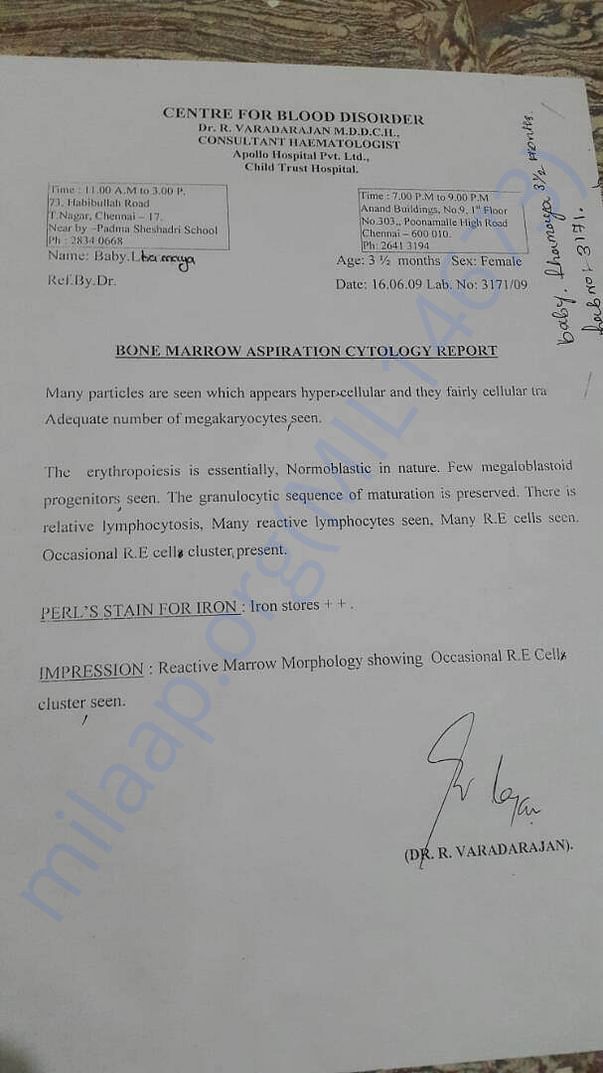 Bone marrow aspiration cytology report