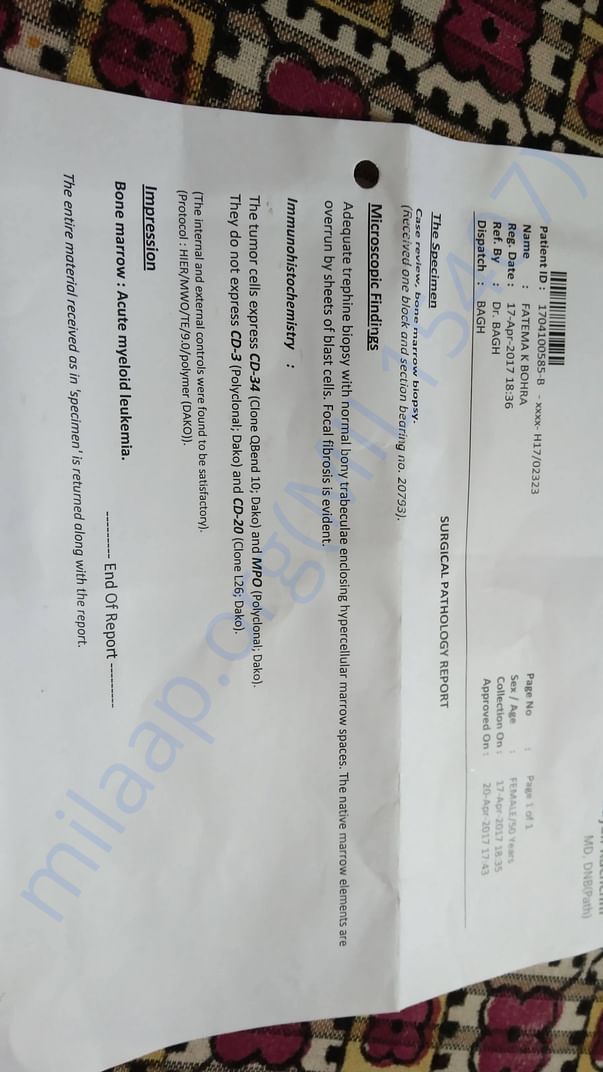 Bone marrow test report