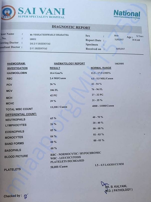 Haematology Report