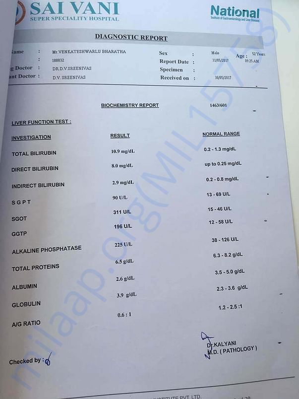 LIVER FUNCTION TEST