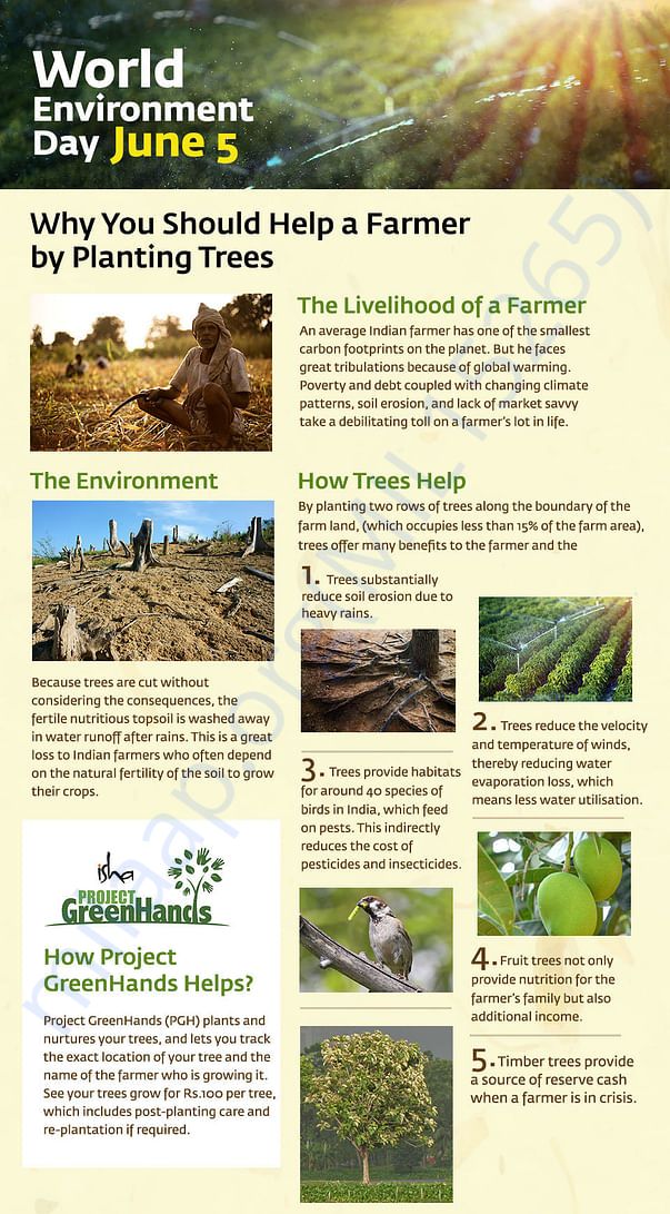 Help a farmer, Plant Trees