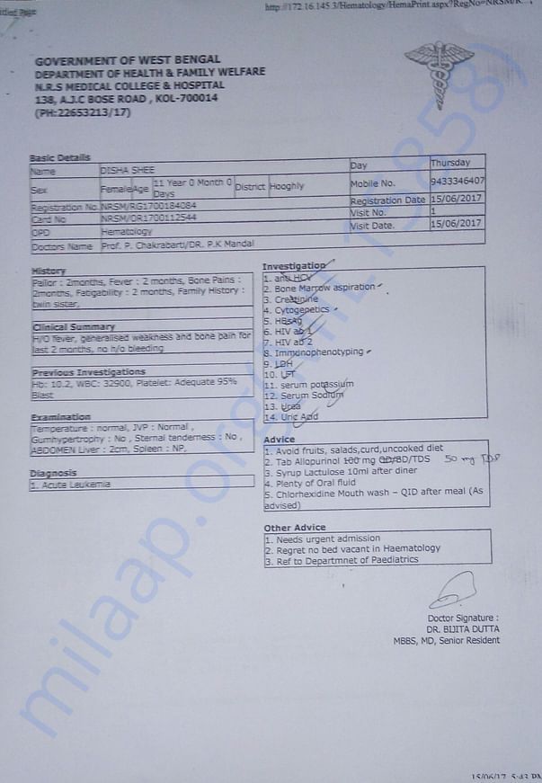 Test report