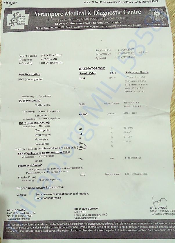 Test report