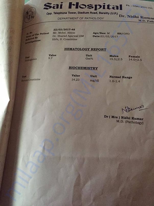 Blood Report