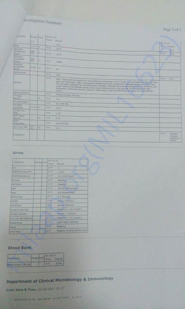 Investigation Summary_2