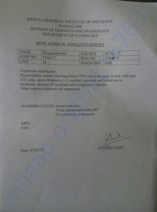 Report from KIDWAI