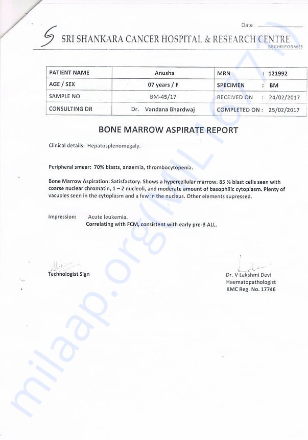 Bone marrow aspirate Report
