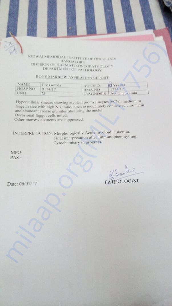 Bone Marrow test report
