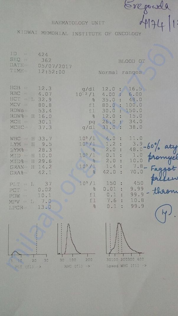 Blood test report