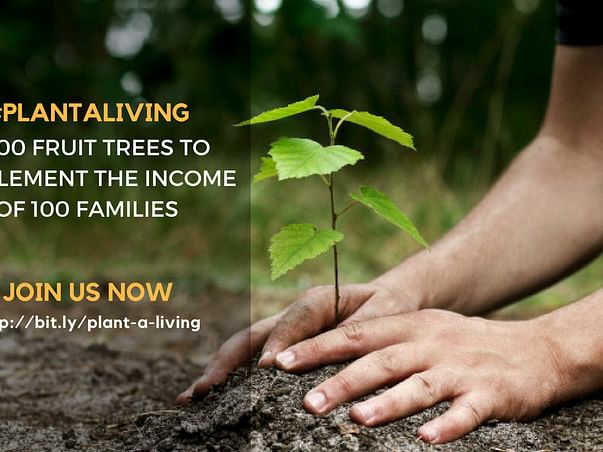 Plant A Tree, Gift A Living