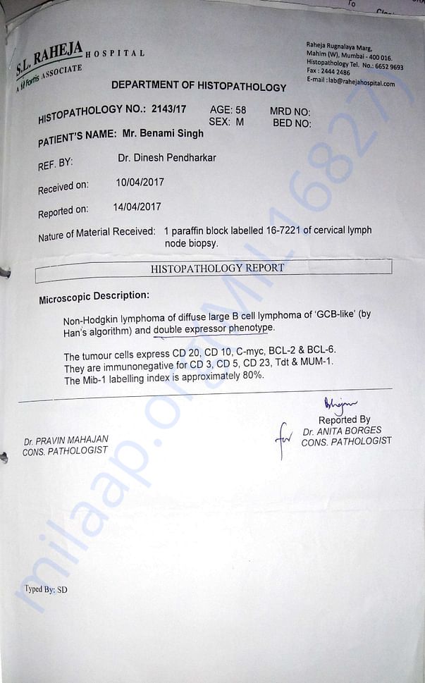 Diagnose Report