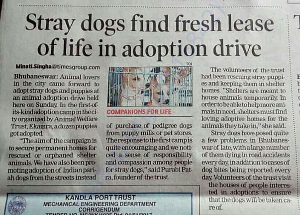 Media coverage on shelter dogs adoption drive