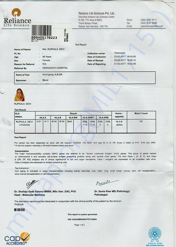 HLA of my mother in law (donor)