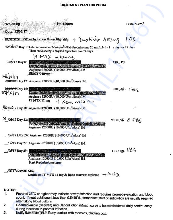 Treatment Plan - 2