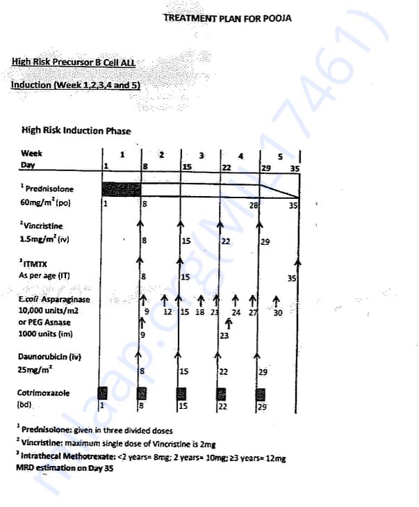 Treatment Plan - 3