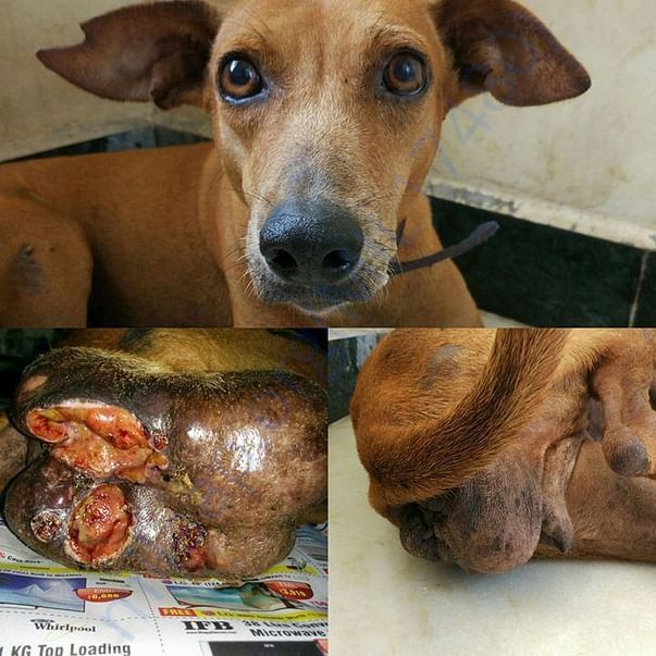 Zahra During treatment