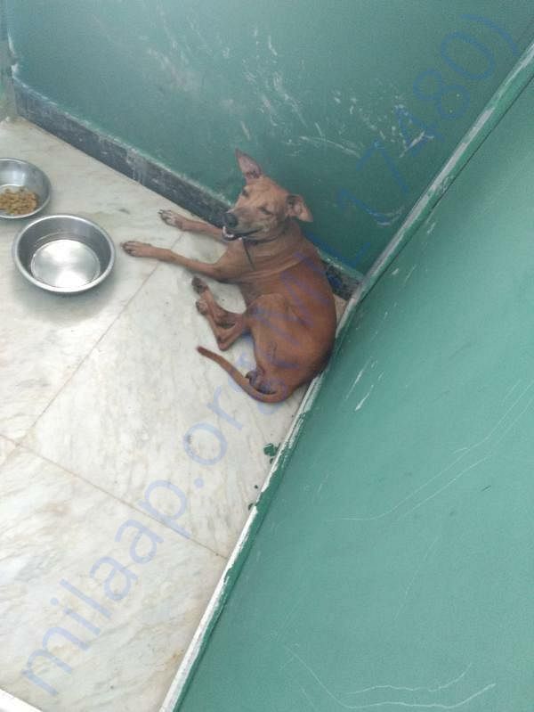 Zahra After two months