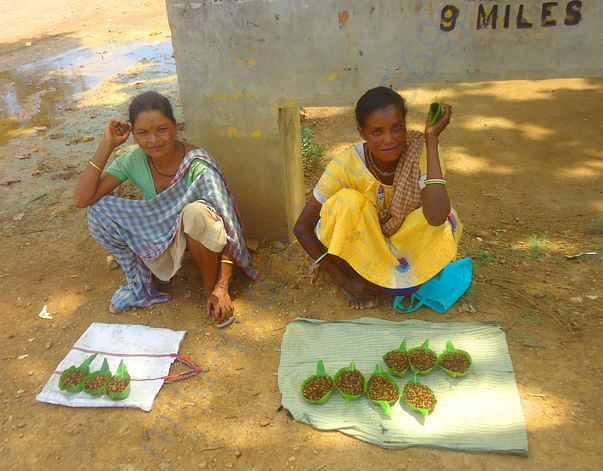 कोलई (मेफ्लाई) कीड़े को बेचती आदिवासी महिला