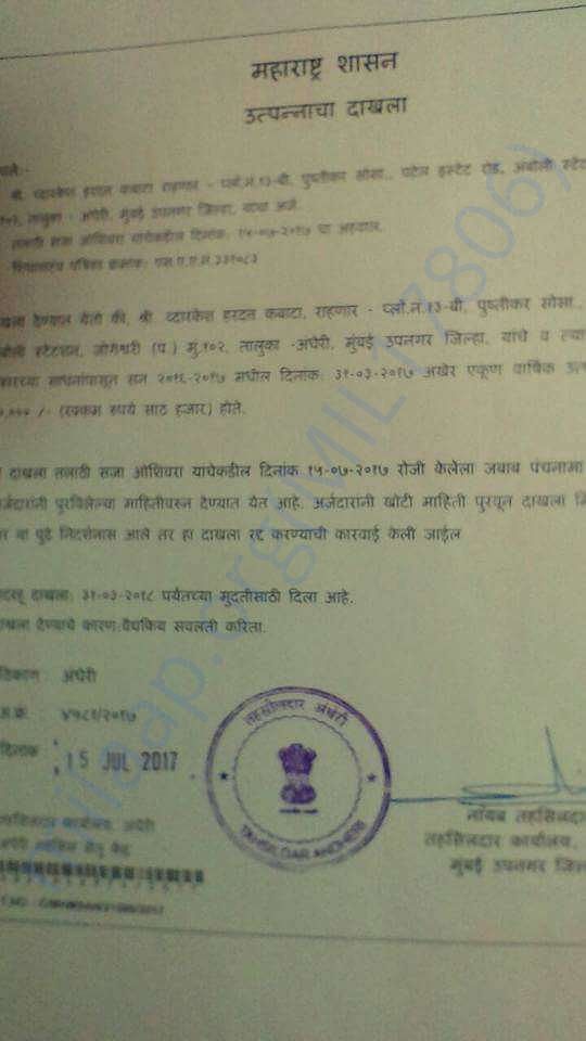 Zero income document