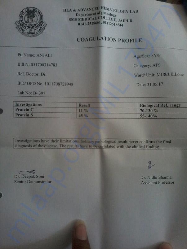 Report