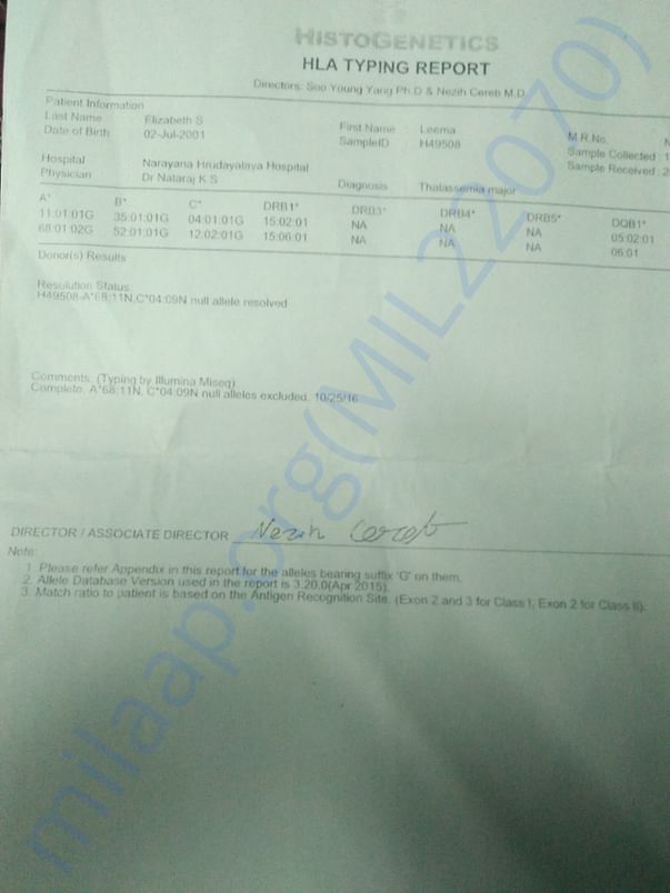 HLA REPORT
