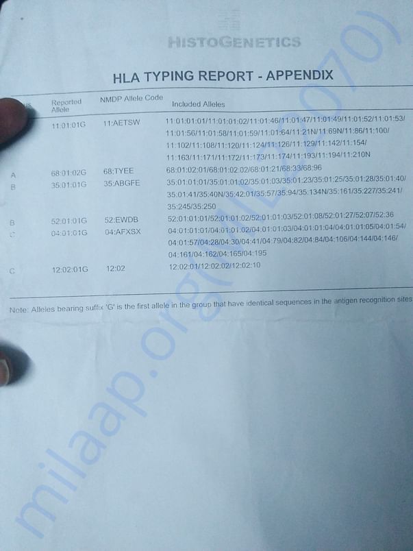HLA REPORT