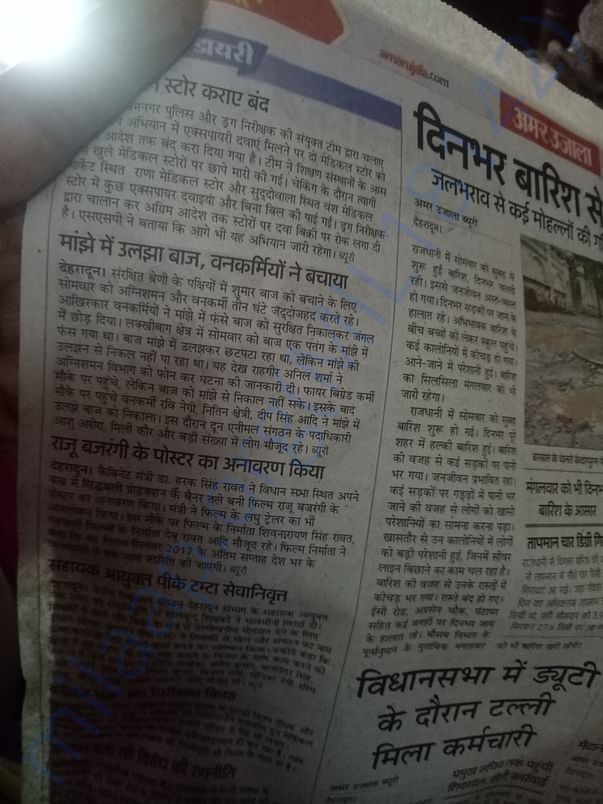 Resced a baby baaj who has been stuck in kites threat