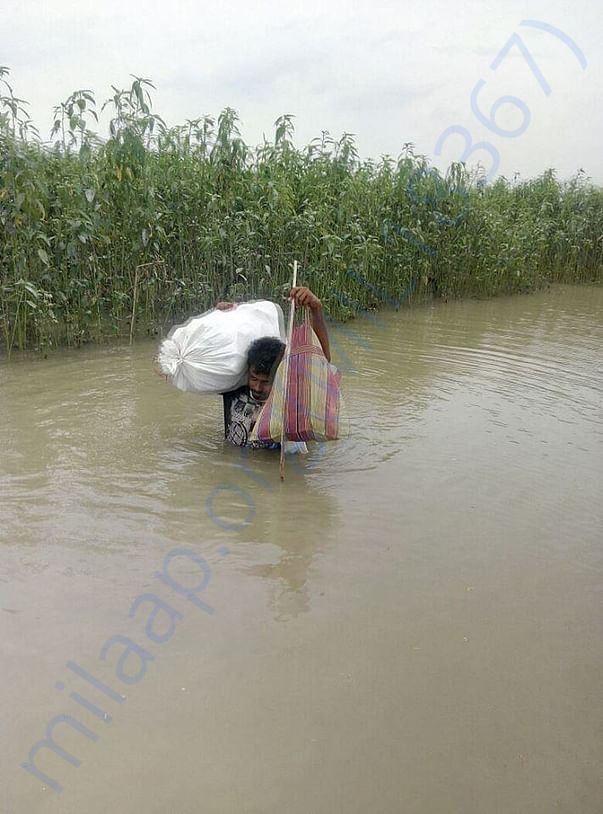 Flood relief - Araria Bihar