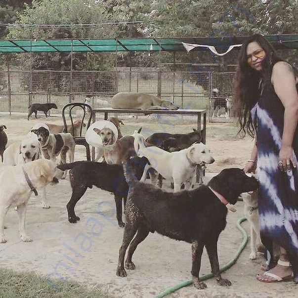 Approx 90 dogs are waiting for you and your support.