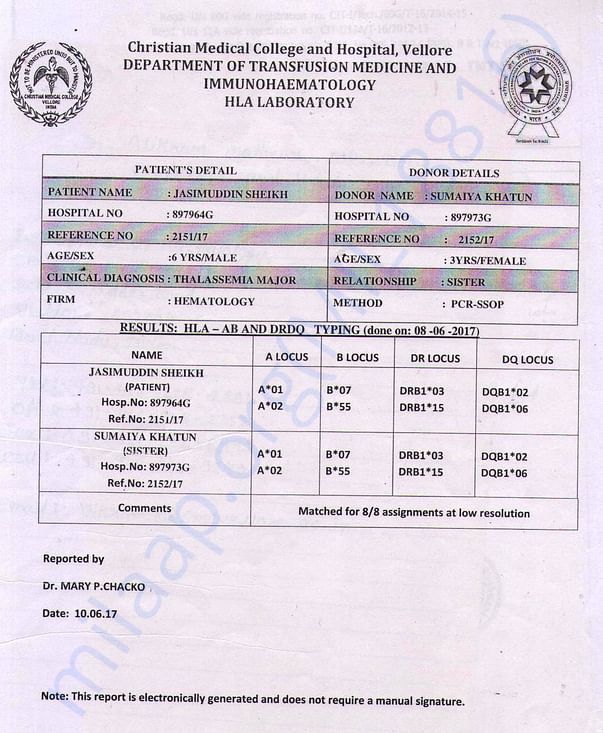 HLA REPORT